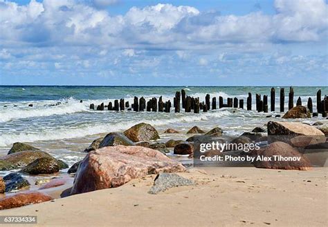  ザリタ・パイ！ロシアのゼレノグラードから届いた、海の恵みとハーブのハーモニー